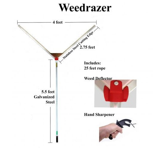 Razor Weed